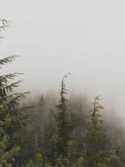 Celestial Eye: Peerl