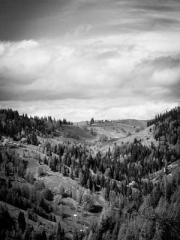 The Hardships of a D