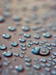 Rong Zhao Nanning Yu