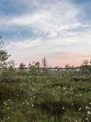 The Taoist nun was f