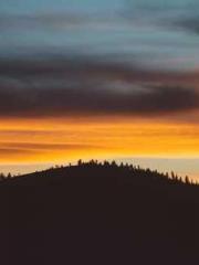 Dangerously Close to