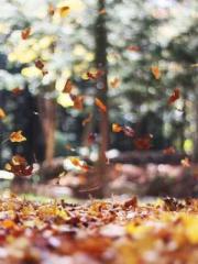 Fāng Chénlín Xuěyán