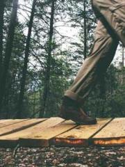 This is too funny! This is too funny!