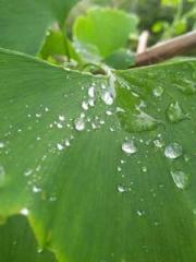 lt;lustful auntgt; lt;lustful auntgt;