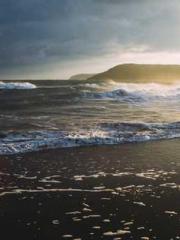 The Rebirth of a Phy The Rebirth of a Phy