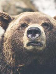 lt;lt;The Heavenly D lt;lt;The Heavenly D