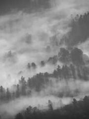 The Rough Man Hunter