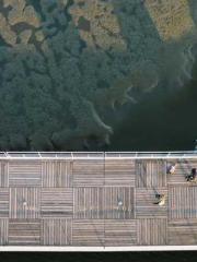 Qi is thin, but I be