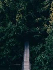 The Realm of the Dao