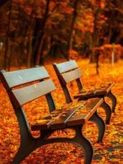 lt;Liang Yimo Cold N