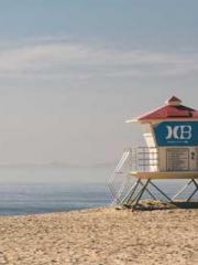 Transmigration: Feel Transmigration: Feel