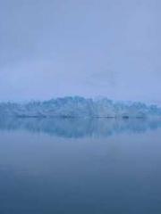 Falling for You: The Falling for You: The