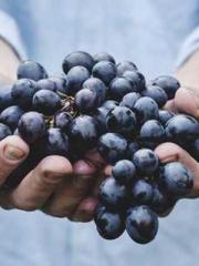 Shen Ning Ran Bao Ji