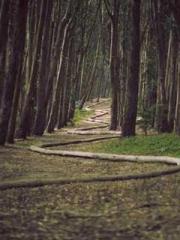 Lu Zongapos;s Hidden