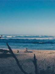 Rebirth of the Urban