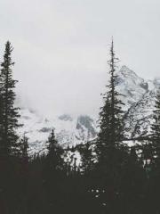 lt;Liang Yimo Cold N