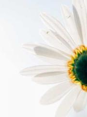 Rong Shao Nan Ning Y