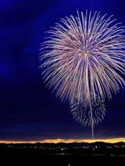 I have seven fairy g I have seven fairy g