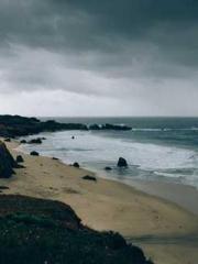 Lin Feng Lin Yun Yao