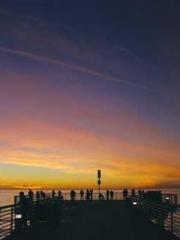 The Daring Wife of a