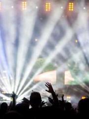 My Sweet Wife: The C