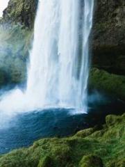 lt;lt;lt;Visionary S