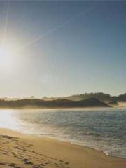 The ambiguous and sw The ambiguous and sw