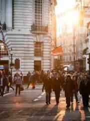 Transmigrated to the Transmigrated to the