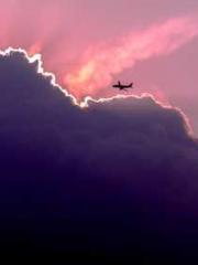 Reborn in the Apocal