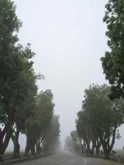 Morning sickness aft